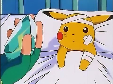 Pokemon Go Accident Fake